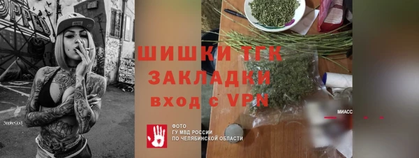 a pvp Бородино