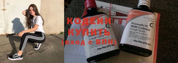 a pvp Бородино