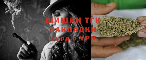 a pvp Бородино