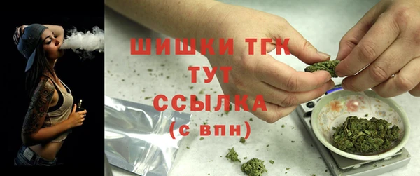 a pvp Бородино