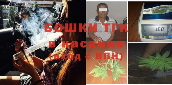 a pvp Бородино