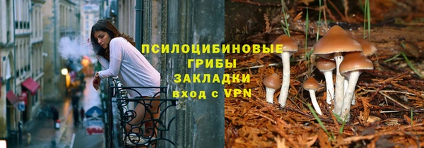 a pvp Бородино