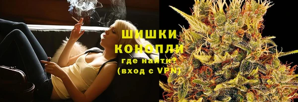 a pvp Бородино