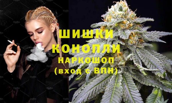 a pvp Бородино
