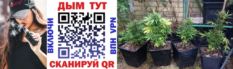 Каннабис Bruce Banner  Ангарск 